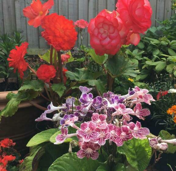 민박 38 Whitehall Road