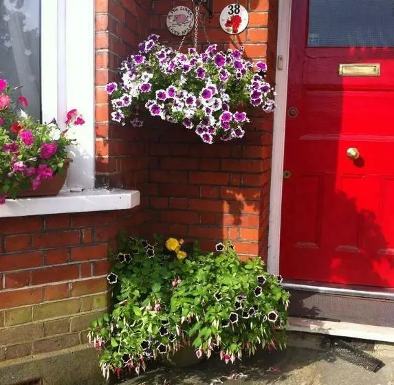 Aamiaismajoitus (B&B) 38 Whitehall Road