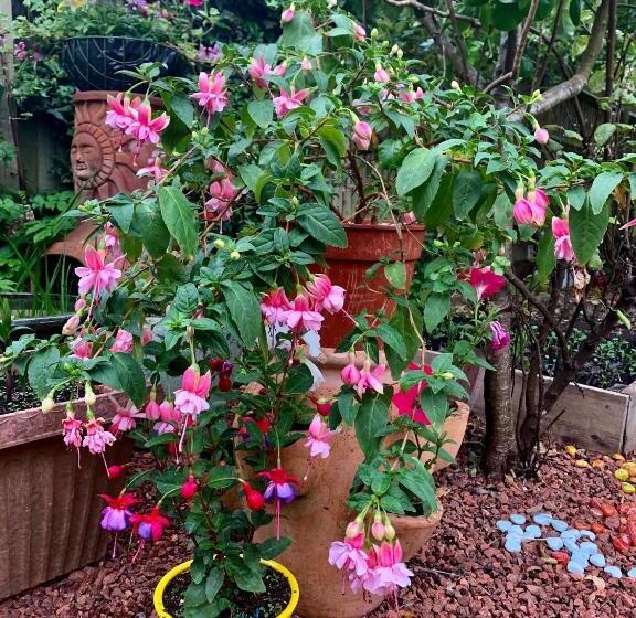 민박 38 Whitehall Road