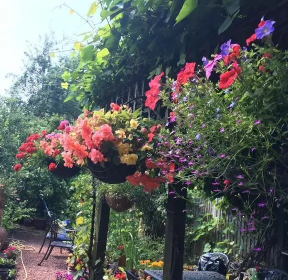 Aamiaismajoitus (B&B) 38 Whitehall Road