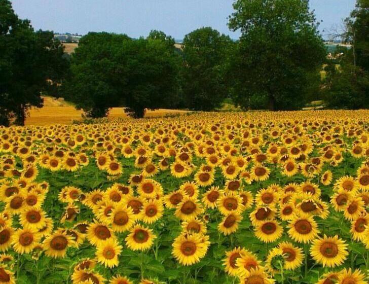 مبيت وإفطار Au Garcin