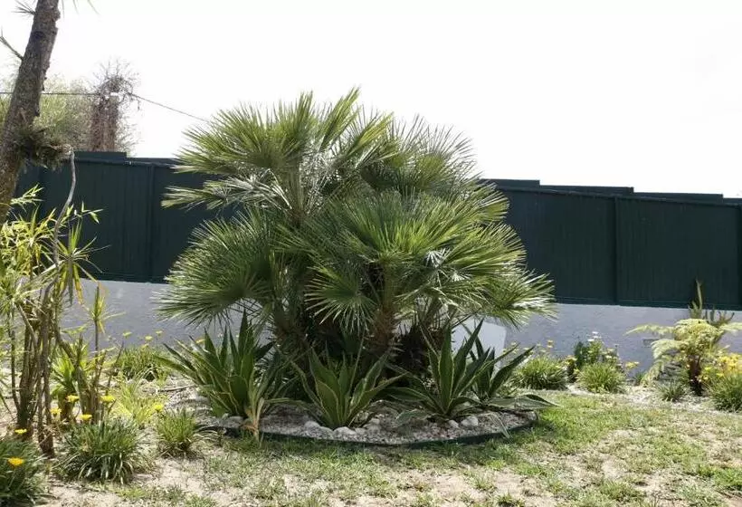 Aamiaismajoitus (B&B) Casa Teresinha