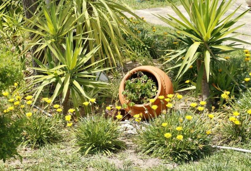 住宿加早餐  Casa Teresinha