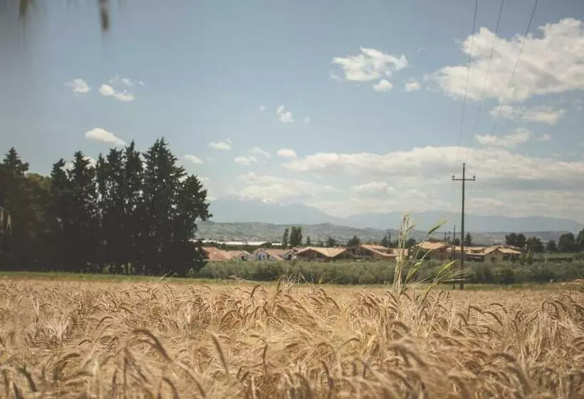 Aamiaismajoitus (B&B) Villa Malù