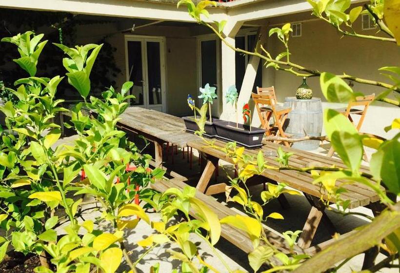 هاستل Venez Dormir Chez Nous #condom#gascogne#d Artagnan#armagnac#le Bonheur Est Dans Le Gers