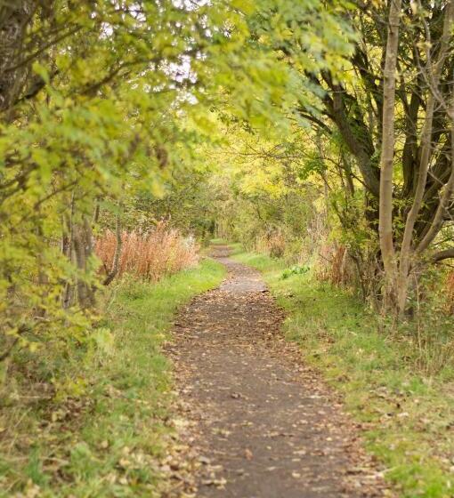 Bed and Breakfast Kirkstyle Hideaway