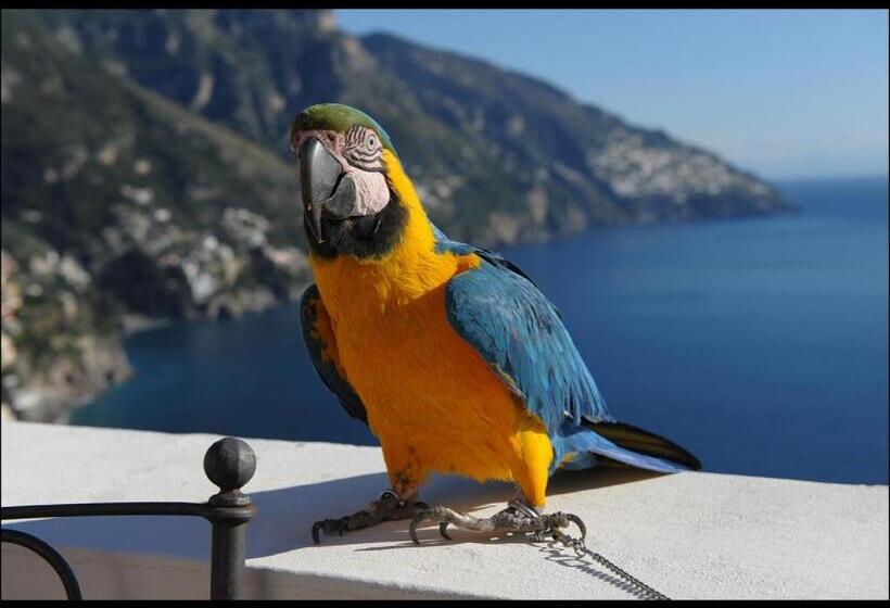 مبيت وإفطار Villa Briganti Seaview Terrace