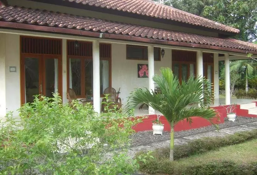 Majatalo Guesthouse Rumah Senang