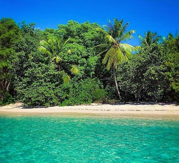 پانسیون L Escale Tropicale