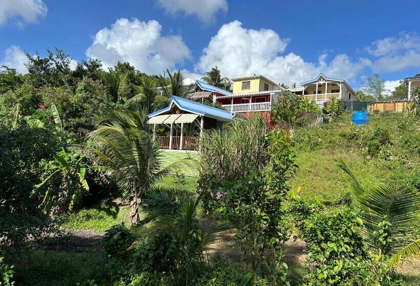 پانسیون L Escale Tropicale