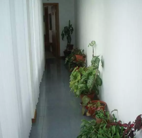 ペンション Residencial Ermida Dos Remédios