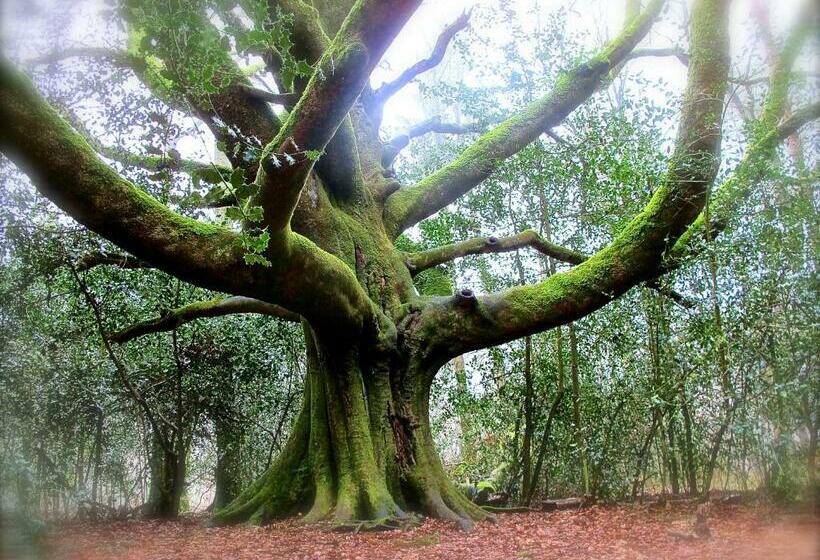 ベッドアンドブレックファースト Kerarz Chambre D Hôtes