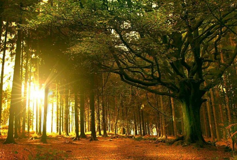 ベッドアンドブレックファースト Kerarz Chambre D Hôtes