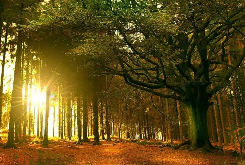 ベッドアンドブレックファースト Kerarz   Chambre D Hôtes