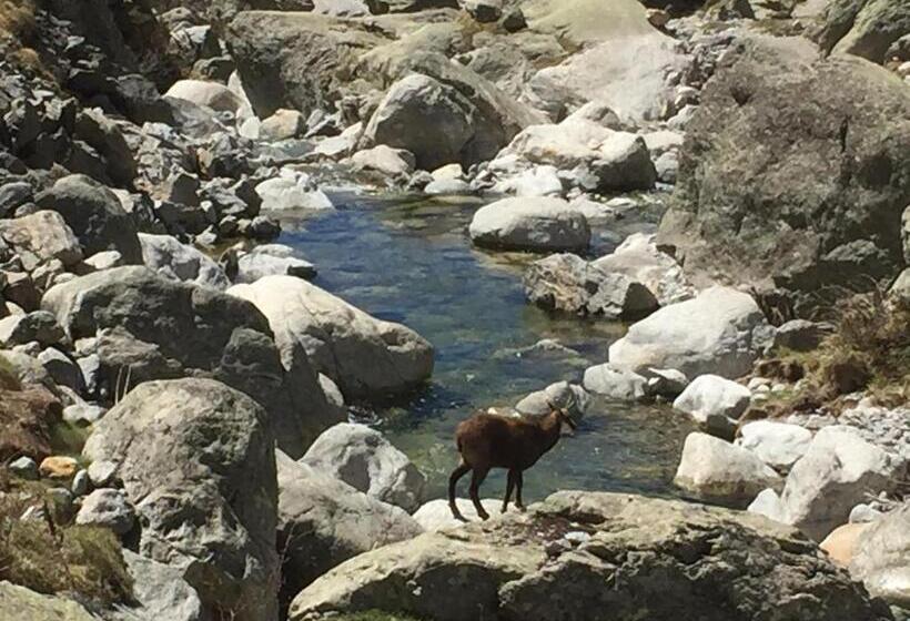 ベッドアンドブレックファースト Les Hortensias