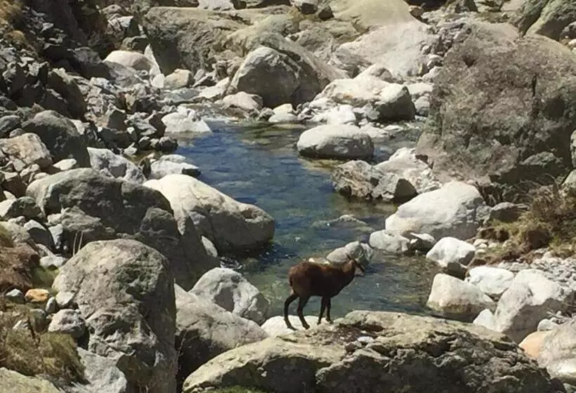 Aamiaismajoitus (B&B) Les Hortensias