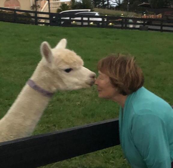 Bed and Breakfast Rua Resort