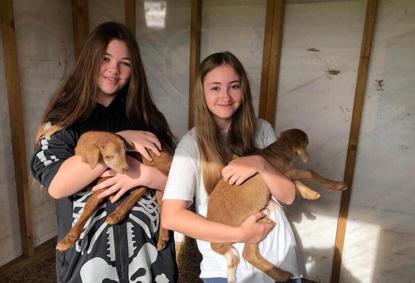 Bed and Breakfast Rua Resort