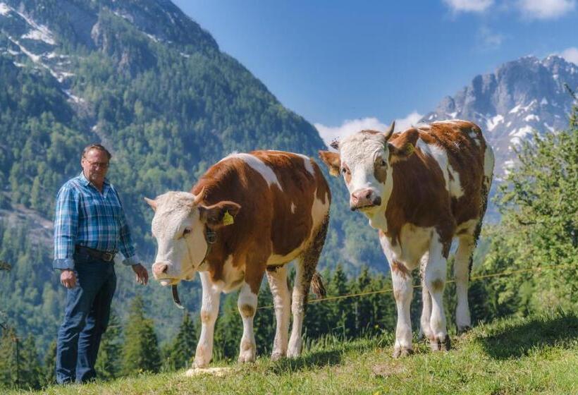 ペンション Gasthof Lamprechtbauer