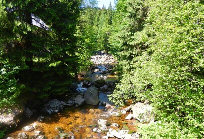 Panzió Guest House U Lakomce