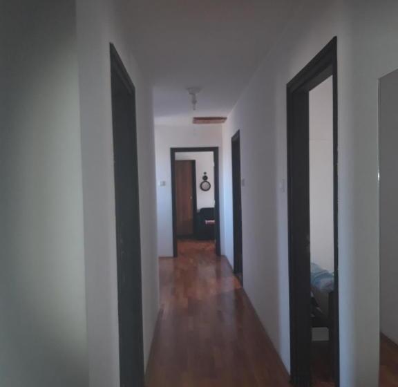 膳宿费 Zsigmond Ház