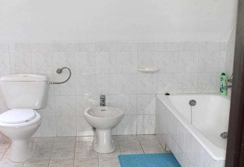 膳宿费 Zsigmond Ház