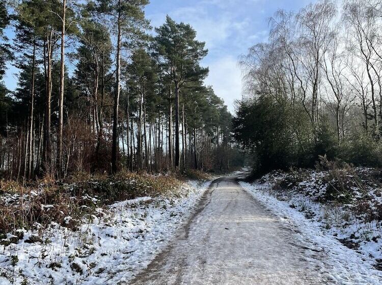 호텔 Harpur's of Melbourne