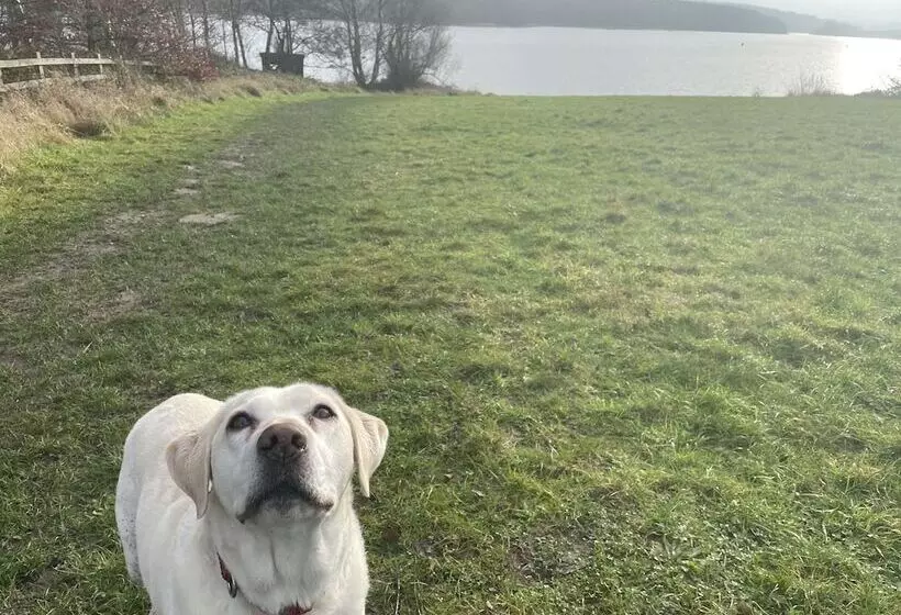 Hotel Harpur's of Melbourne