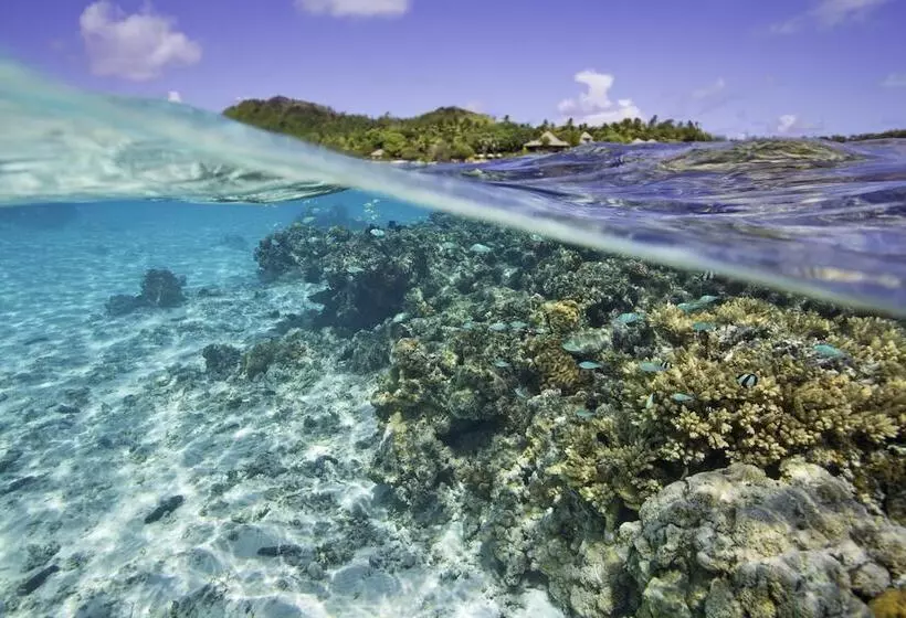 هتل Pacific Resort Aitutaki Adults Only