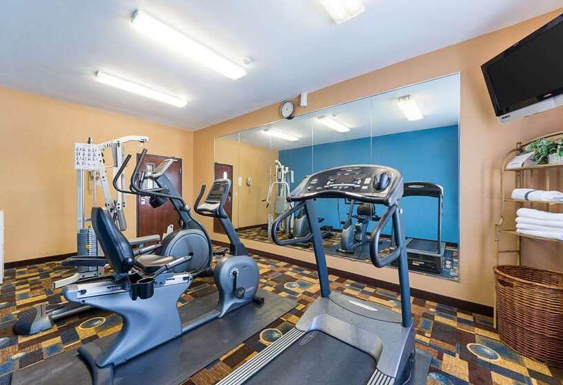 Отель Quality Inn & Suites