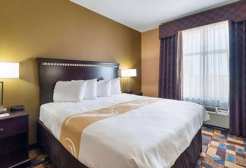 호텔 Quality Inn & Suites