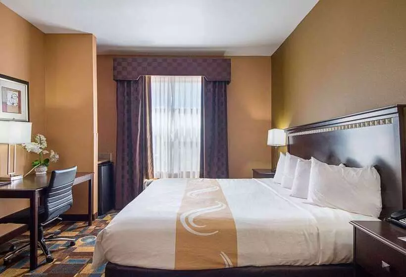 호텔 Quality Inn & Suites