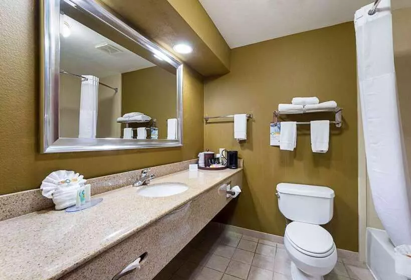 호텔 Quality Inn & Suites