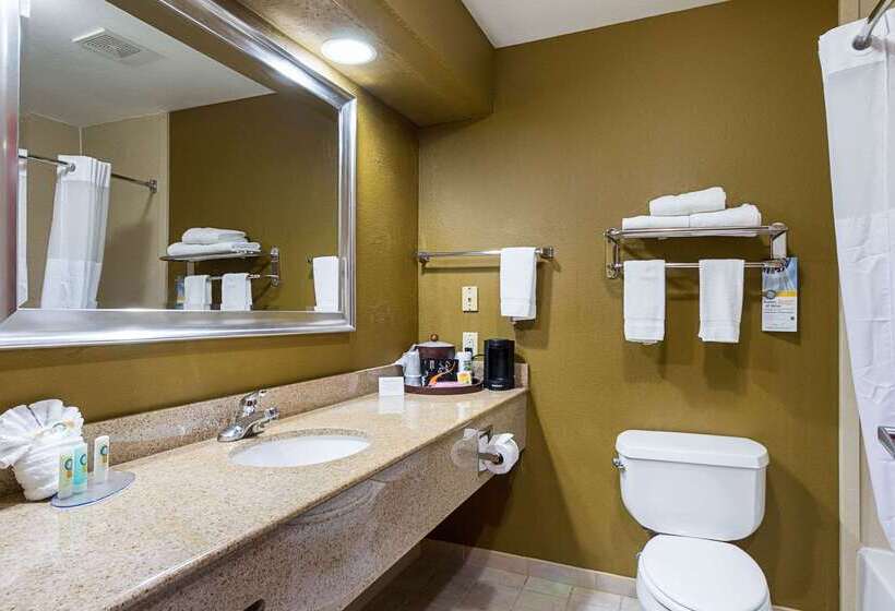Отель Quality Inn & Suites