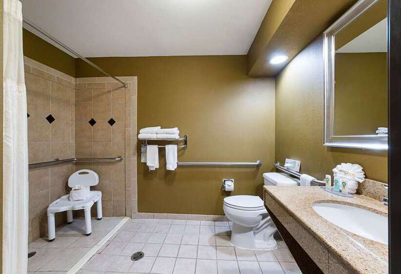 Отель Quality Inn & Suites