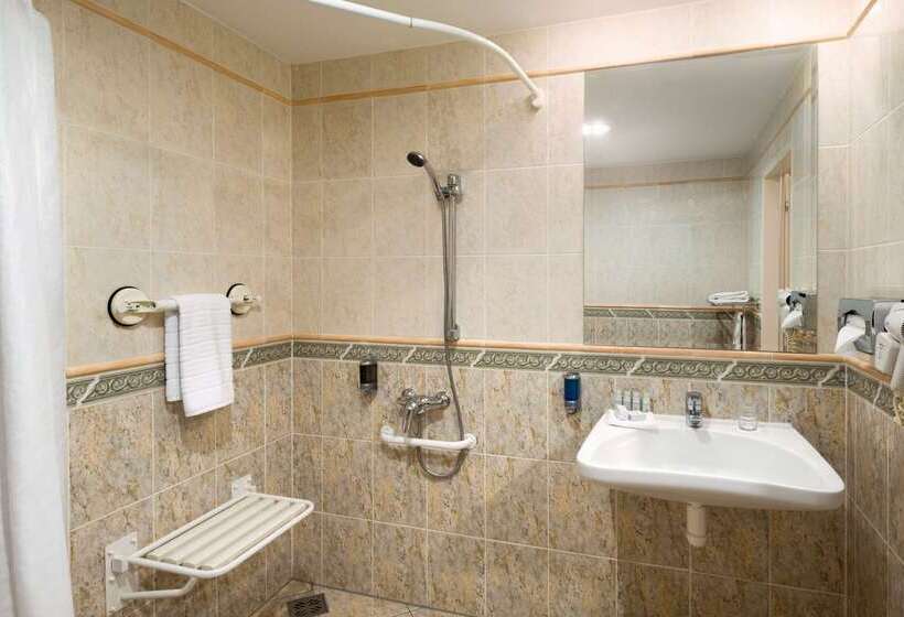 酒店 Ramada Prague City Centre