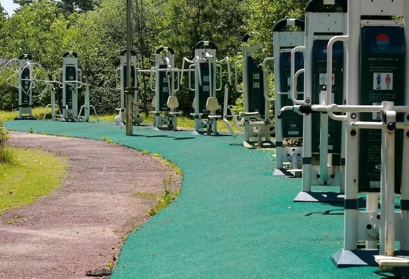 Incheon The Hotel Yeongjong