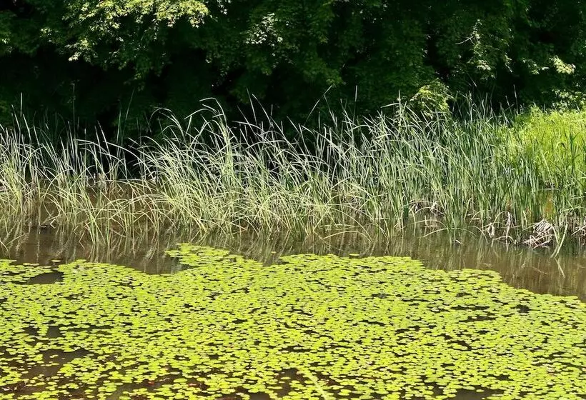 Incheon The Hotel Yeongjong