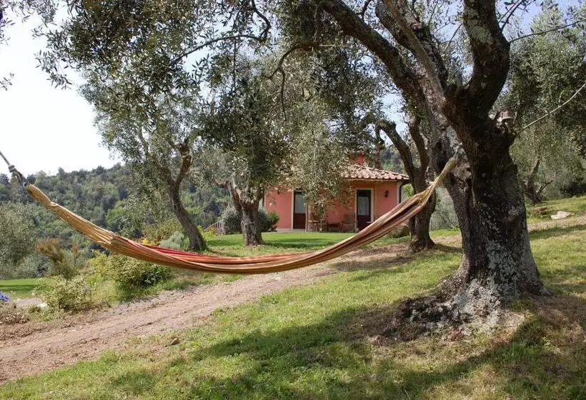 Aamiaismajoitus (B&B) Il Pino