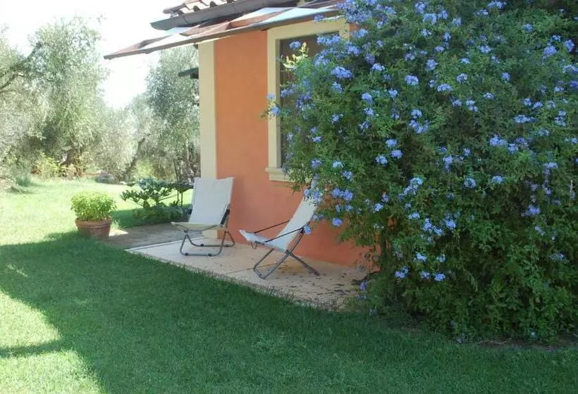 Aamiaismajoitus (B&B) Il Pino