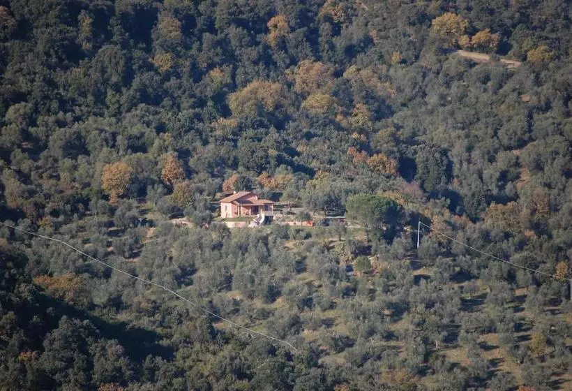 Aamiaismajoitus (B&B) Il Pino