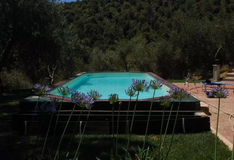 Aamiaismajoitus (B&B) Il Pino