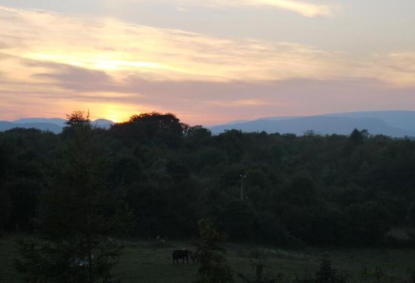 مبيت وإفطار Nymphsfield House