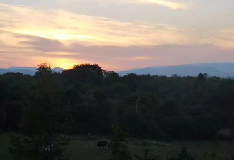 Aamiaismajoitus (B&B) Nymphsfield House