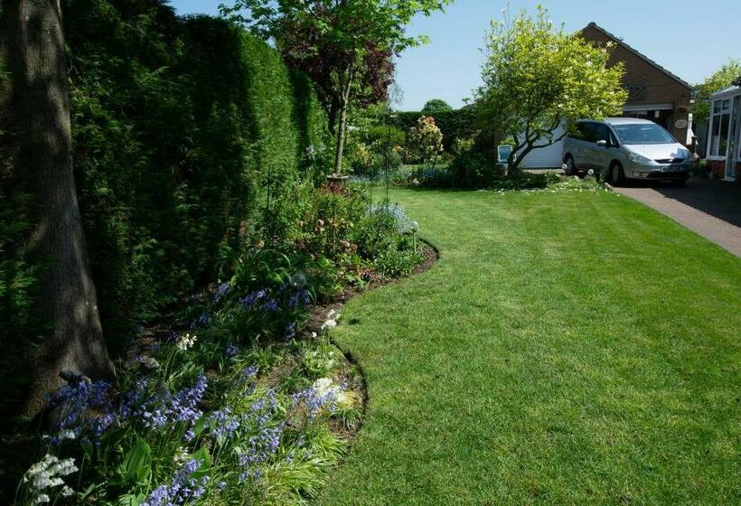 Bed and Breakfast The Kiwi House