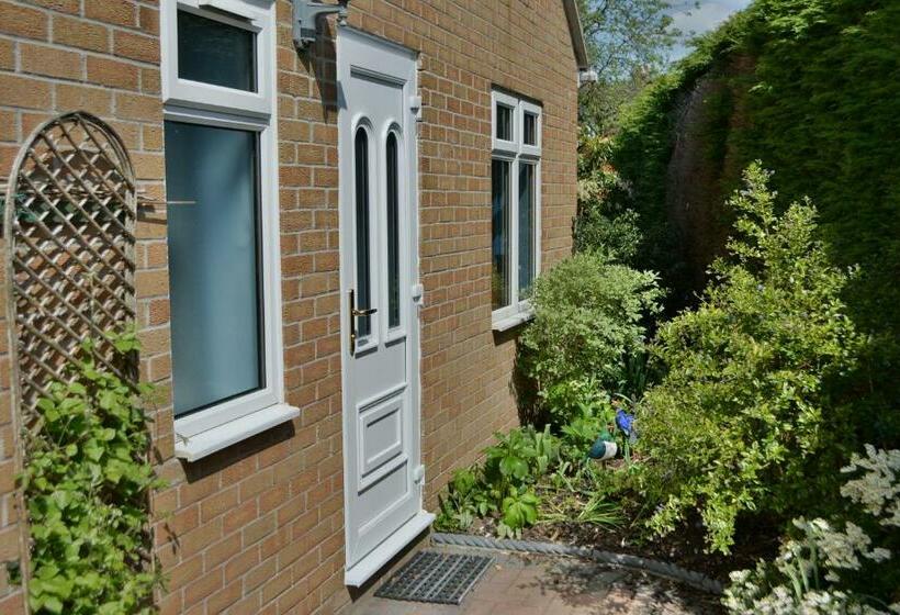 Bed and Breakfast The Kiwi House