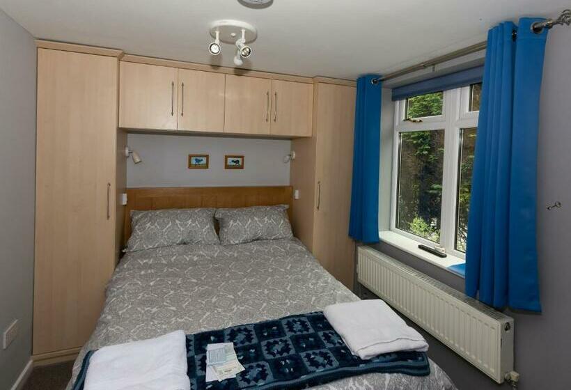 Bed and Breakfast The Kiwi House