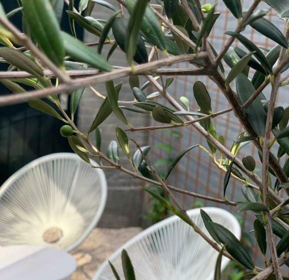 Bed & Breakfast Karakter