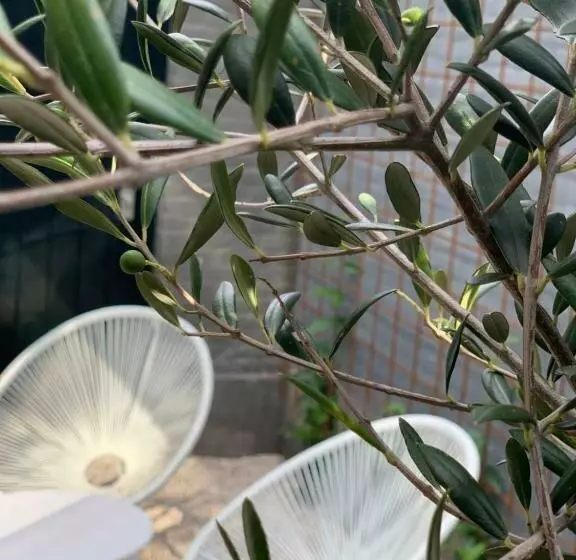 Bed & Breakfast Karakter