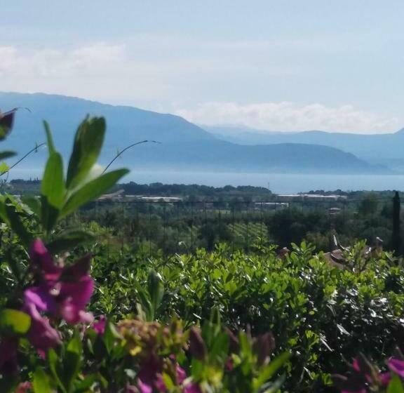 Bio B&b Vivere La Vita